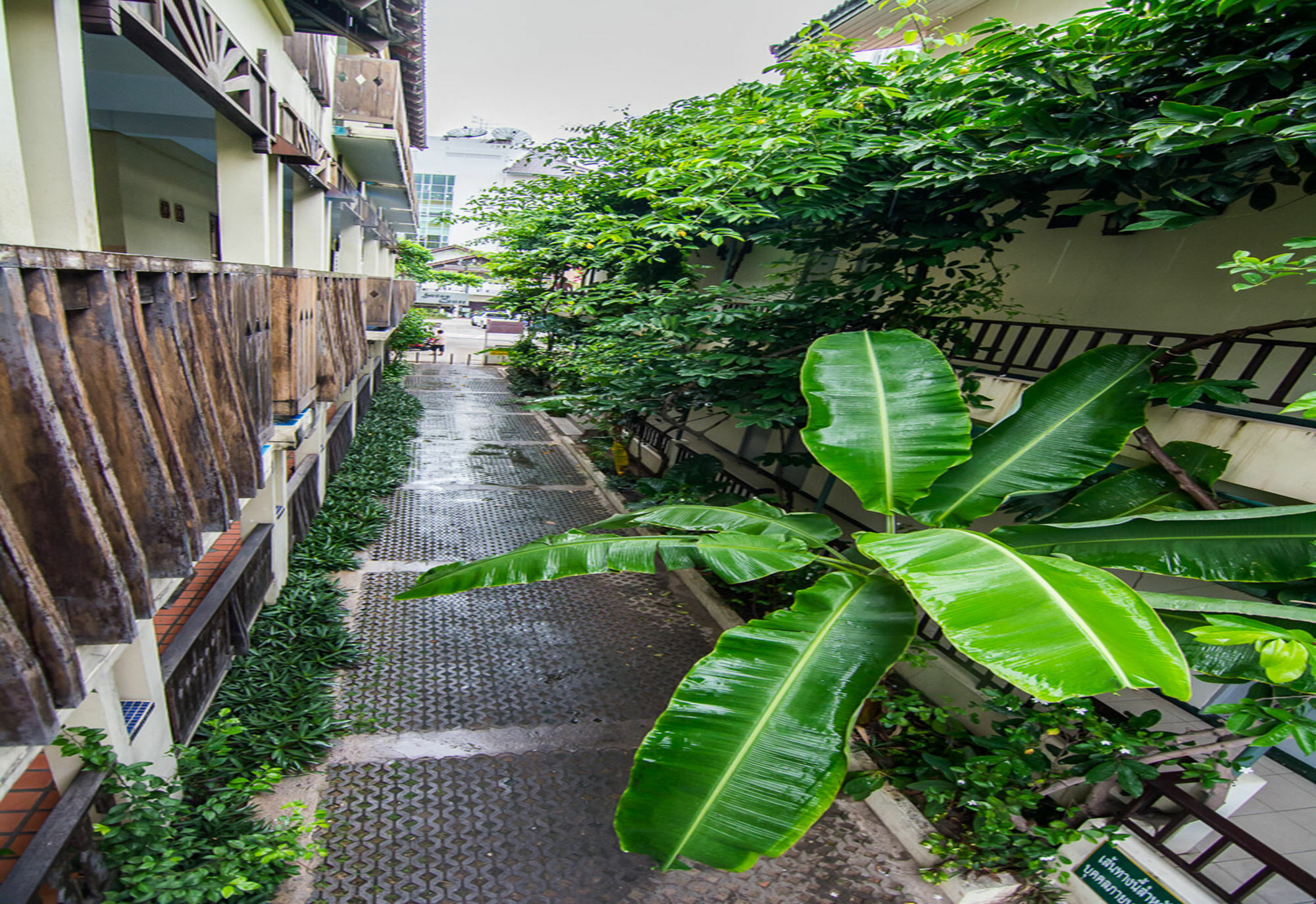Sutus Court 2 Hotell Pattaya Exteriör bild